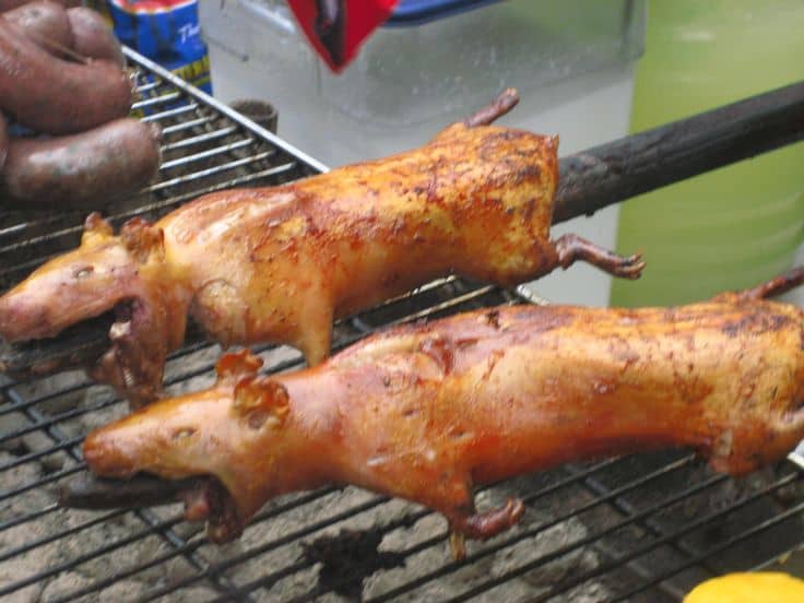 Grilled Guinea Pig