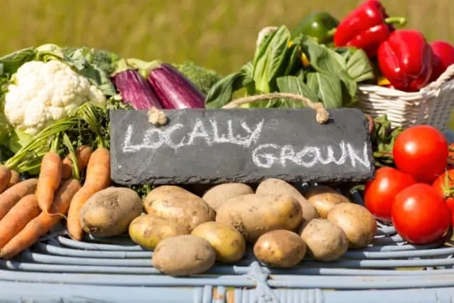 local and fresh ingredients