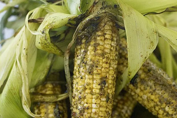 Cilantro Pesto Corn