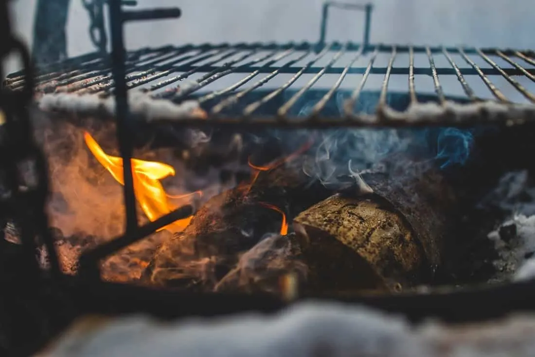 Grilling with Wood Chips Instead of Charcoal