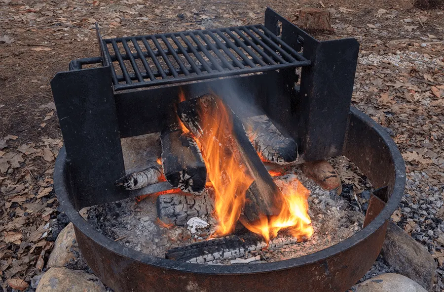 Pros & Cons of Grilling with Wood Chips