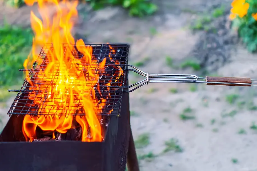 Best Campfire Grate
