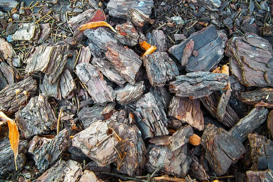 How to Use Wood Chips in a Charcoal Grill
