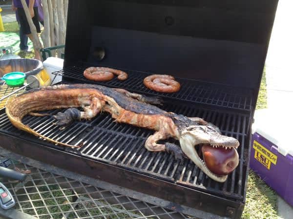 Grilling Whole Alligators: A New Pre-Game Event?